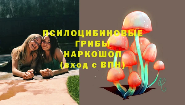 амф Вязьма