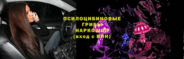 прущий лед Вяземский