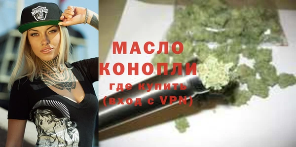 прущий лед Вяземский