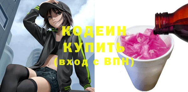 прущий лед Вяземский