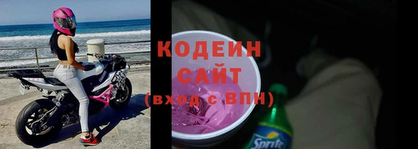 прущий лед Вяземский