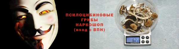 амф Вязьма