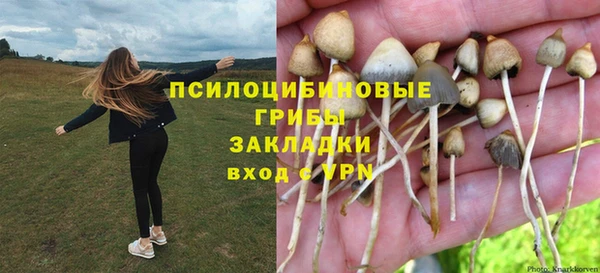 ешки Вязники