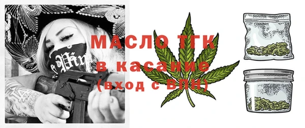 прущий лед Вяземский