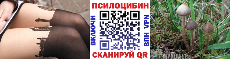 Галлюциногенные грибы Magic Shrooms Купить Узловая